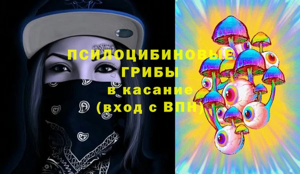амф Балахна