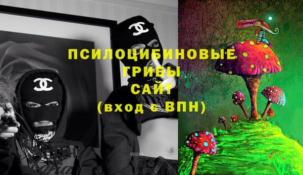 apvp Балабаново